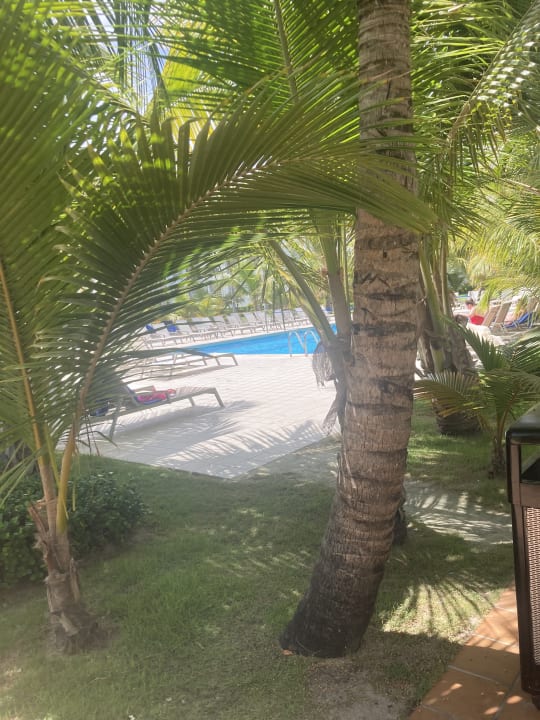 Gartenanlage Hotel Riu Palace Punta Cana