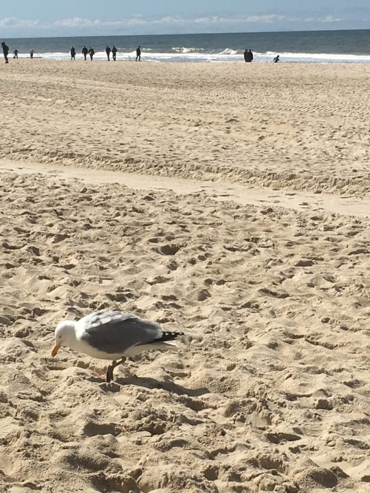 Zimmer Haus Braunschweig