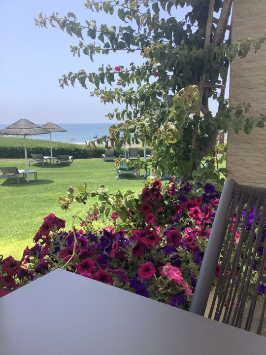 Gartenanlage ROBINSON CYPRUS