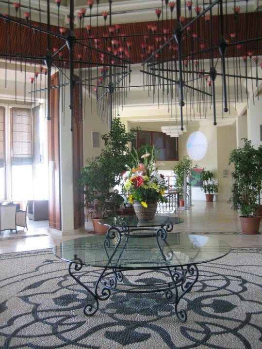 Recepcja PALOMA Perissia