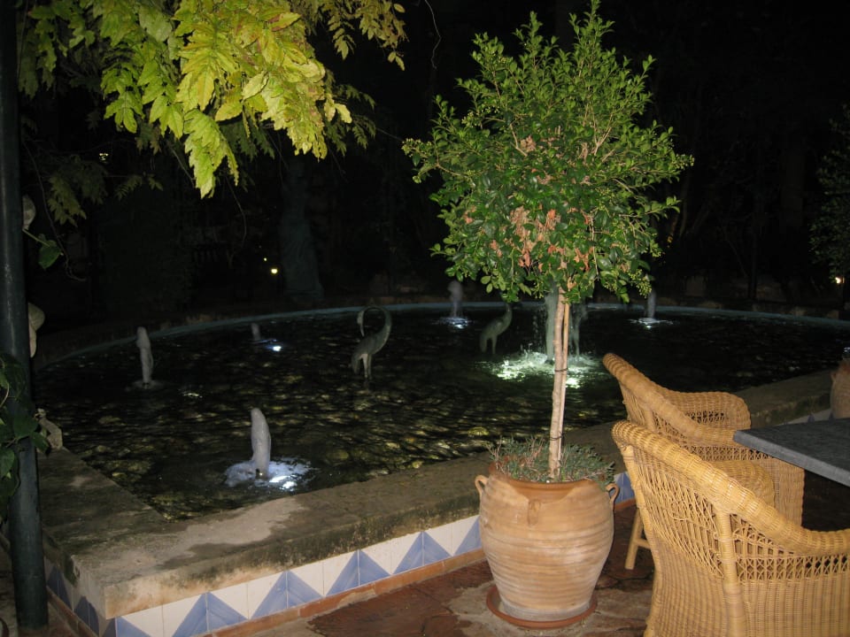 Wieder noch gut Bahía de Alcúdia Hotel & Spa