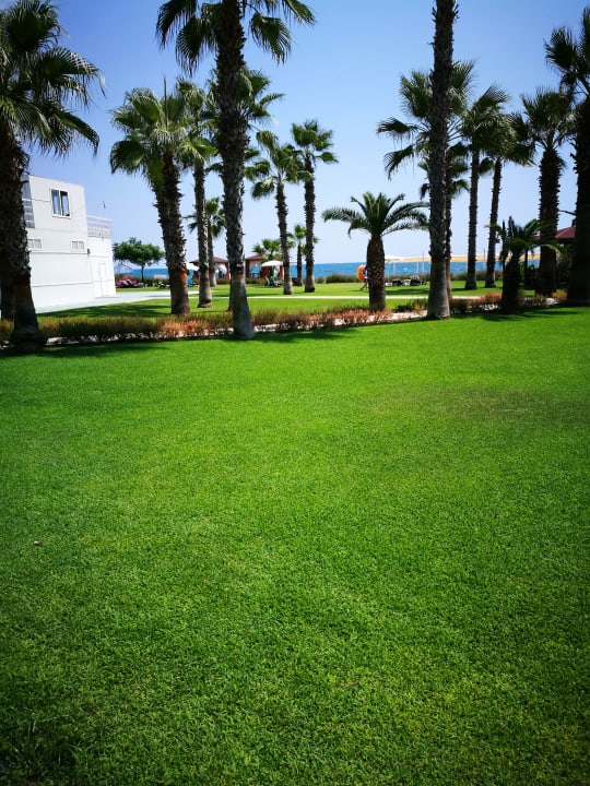 Gartenanlage Arcanus Hotels Sorgun
