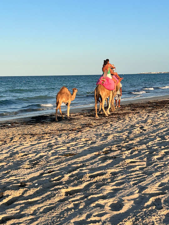Strand TUI BLUE Palm Beach Palace Djerba