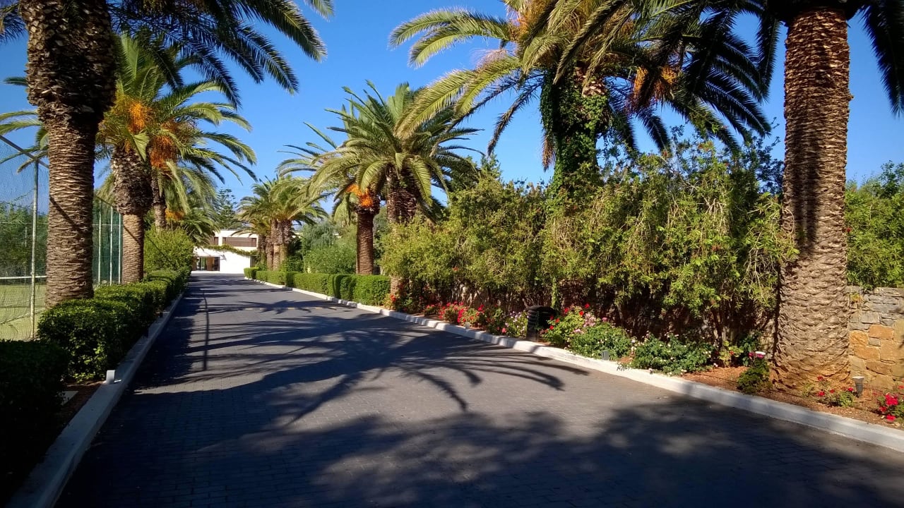 Hotelzufahrt Phãea Cretan Malia