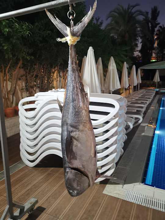 Gastro Side Aquamarin Resort & Spa