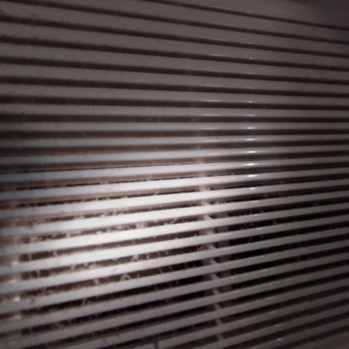 Zimmer Aparthotel Oasi Anfiteatro