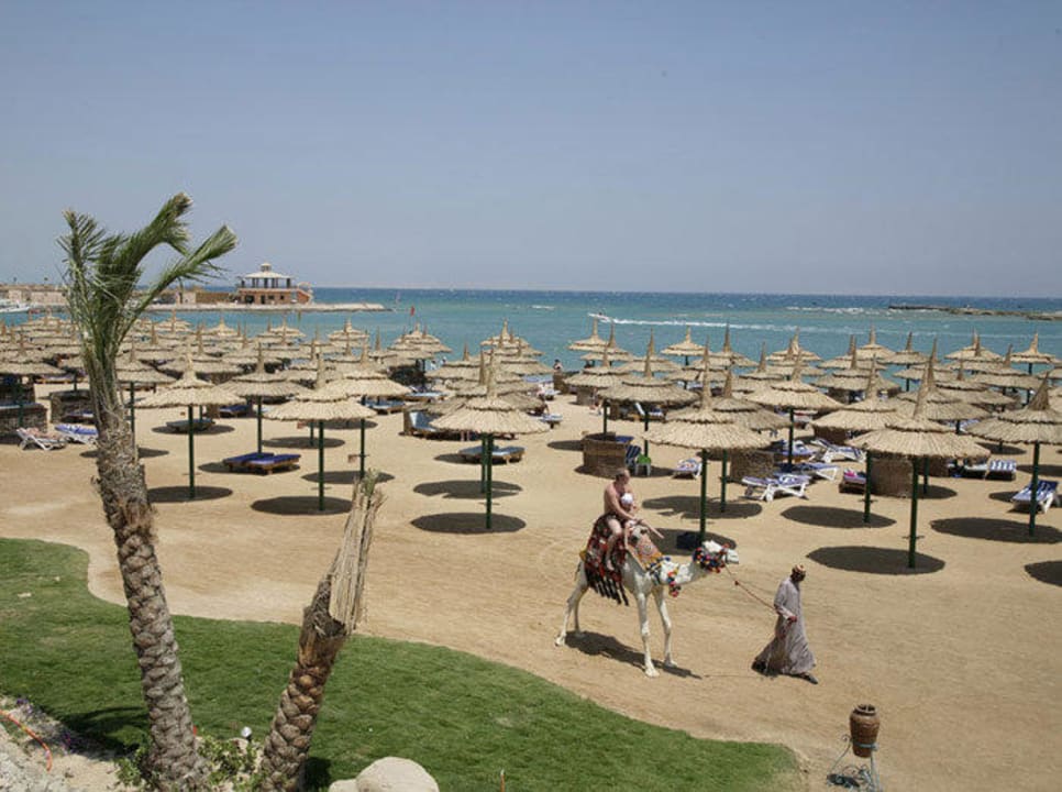 Вид на пляж Sentido Mamlouk Palace Resort