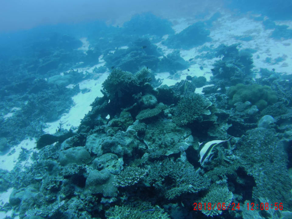 Sport & Freizeit ROBINSON MALDIVES