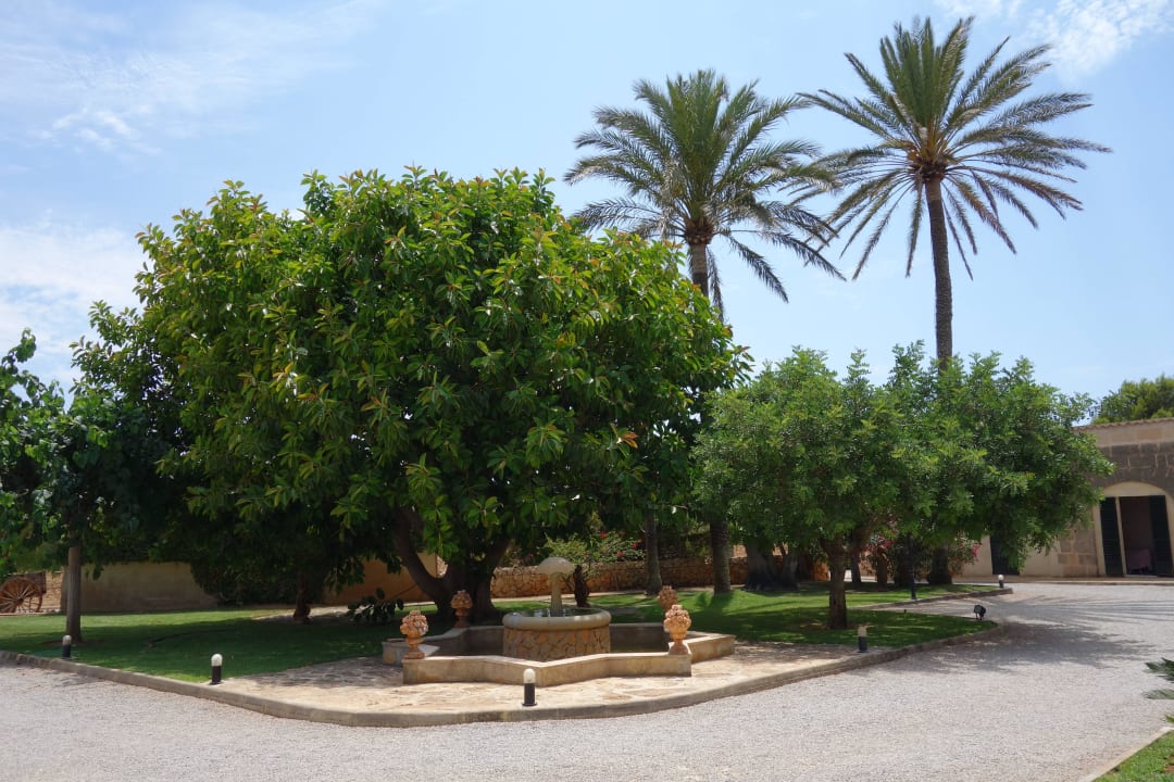 Zufahrt zum Haupthaus Finca Es Puig de Ros d'Alt