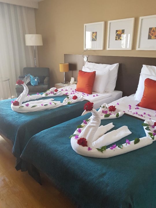 Zimmer Arum Barut Collection