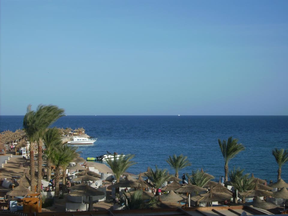 Blick aus dem Zimmer Beach Albatros Resort