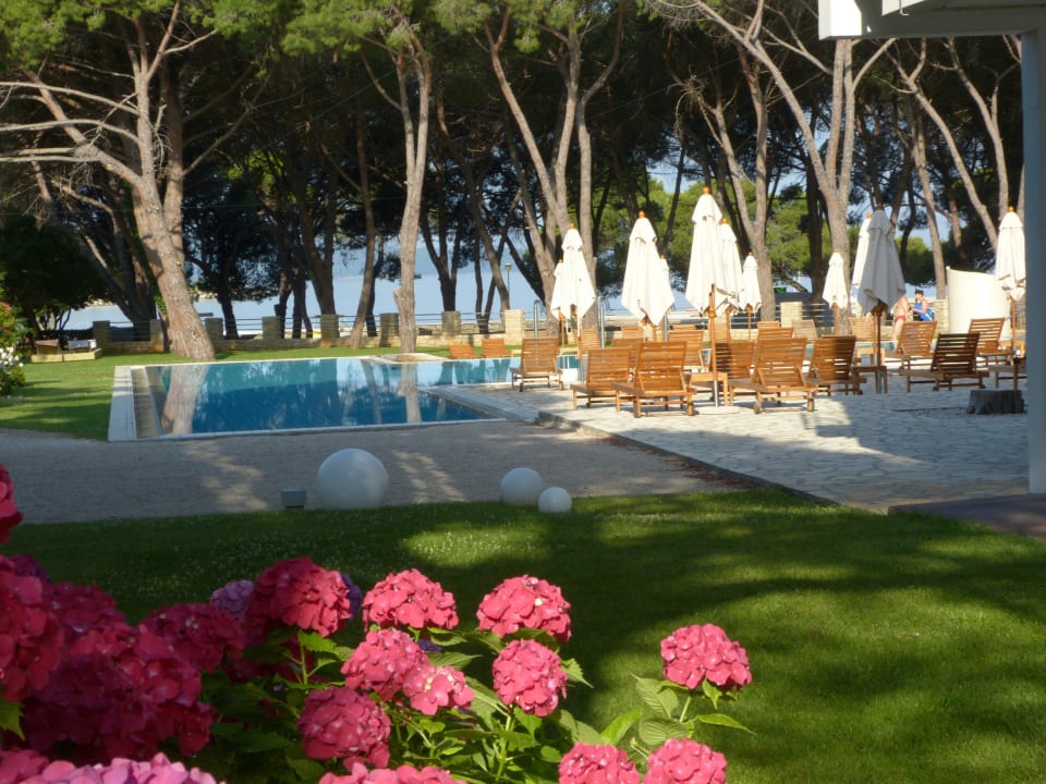 Garten, Pool mit Blick aufs Meer Falkensteiner Hotel Adriana