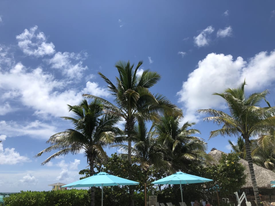 Pool Margaritaville Hollywood Beach Resort