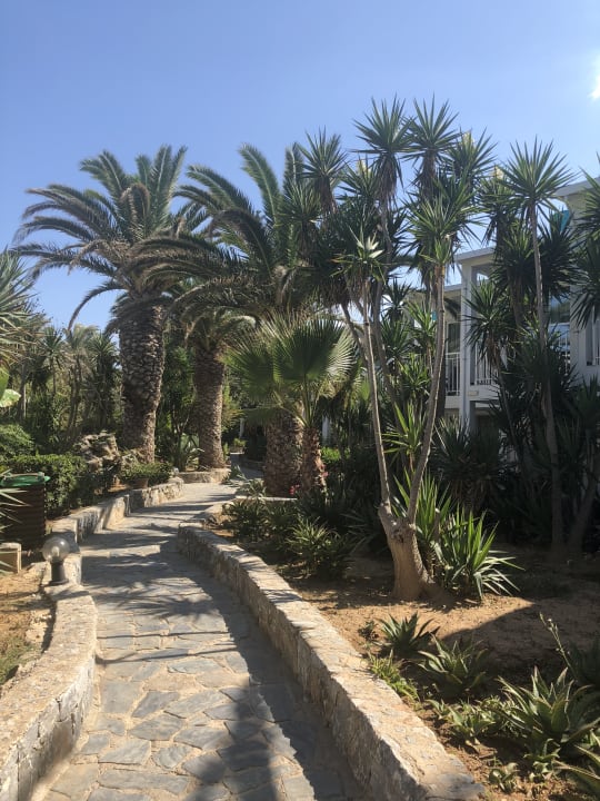 Gartenanlage HARPIN Happy Days Beach Hotel