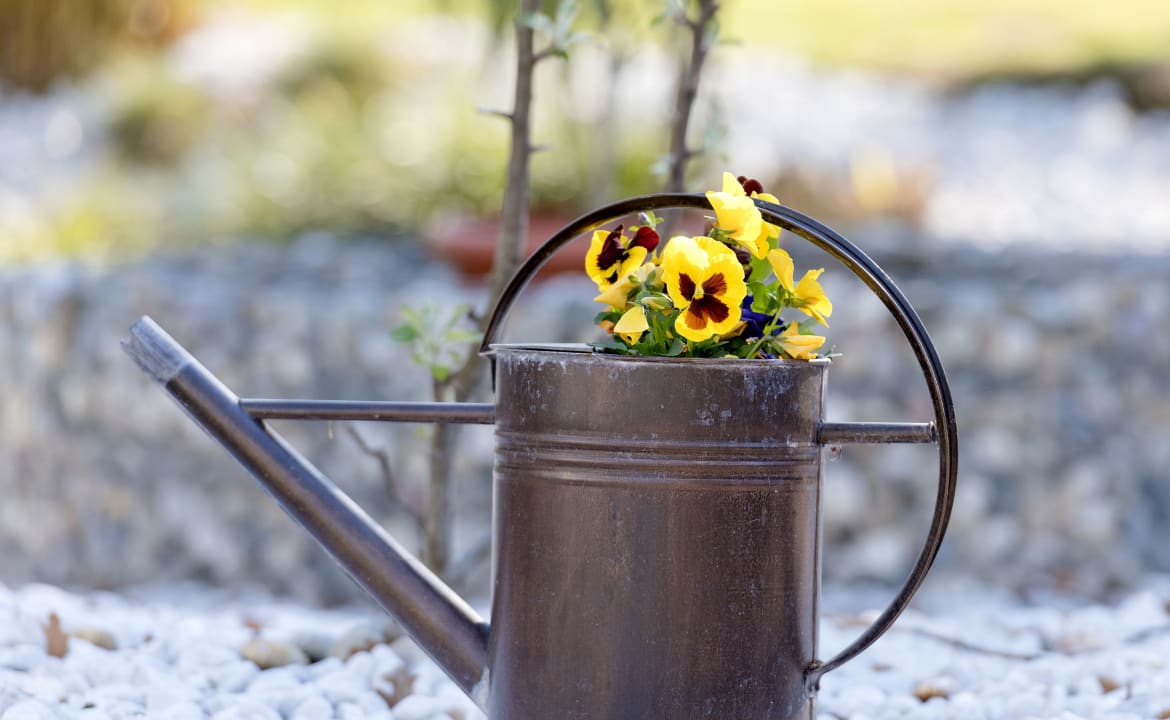 Gartenanlage Hotel Potsdam am Katharinenholz