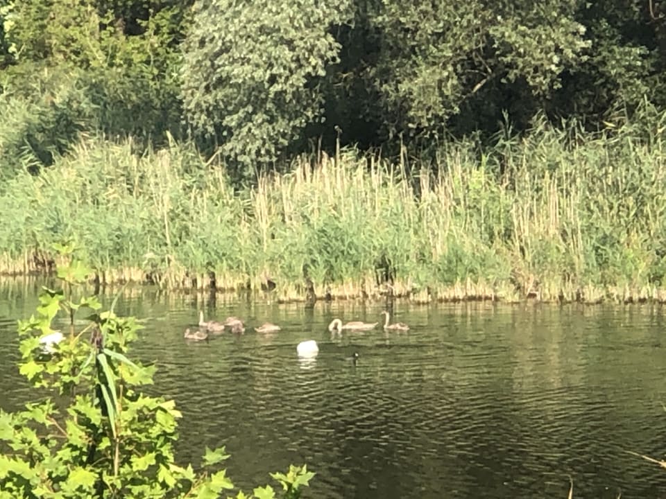 Außenansicht Seehotel Brandenburg a.d. Havel