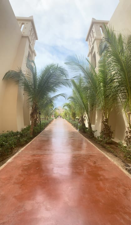 Gartenanlage Hotel Riu Touareg