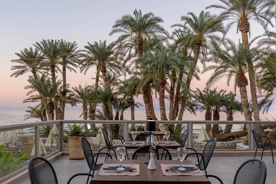 Gastro Zeus Hotels Palm Beach