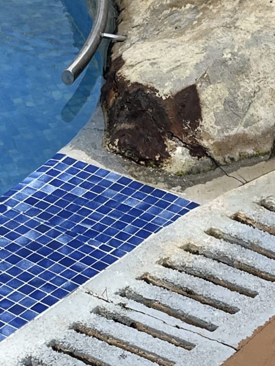 Pool Ona Palmira Paguera