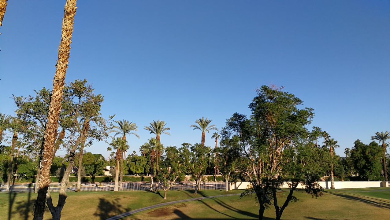Gartenanlage Marriott Desert Springs Villas I