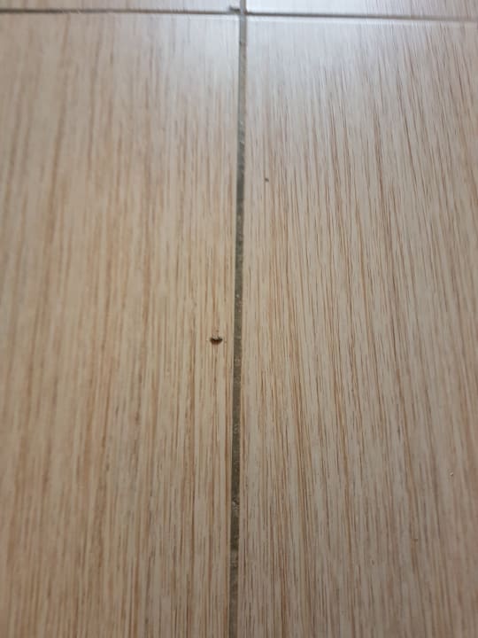 Zimmer Jaz Makadi Oasis Resort