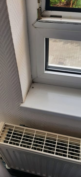 Zimmer ACHAT Hotel Dresden Elbufer