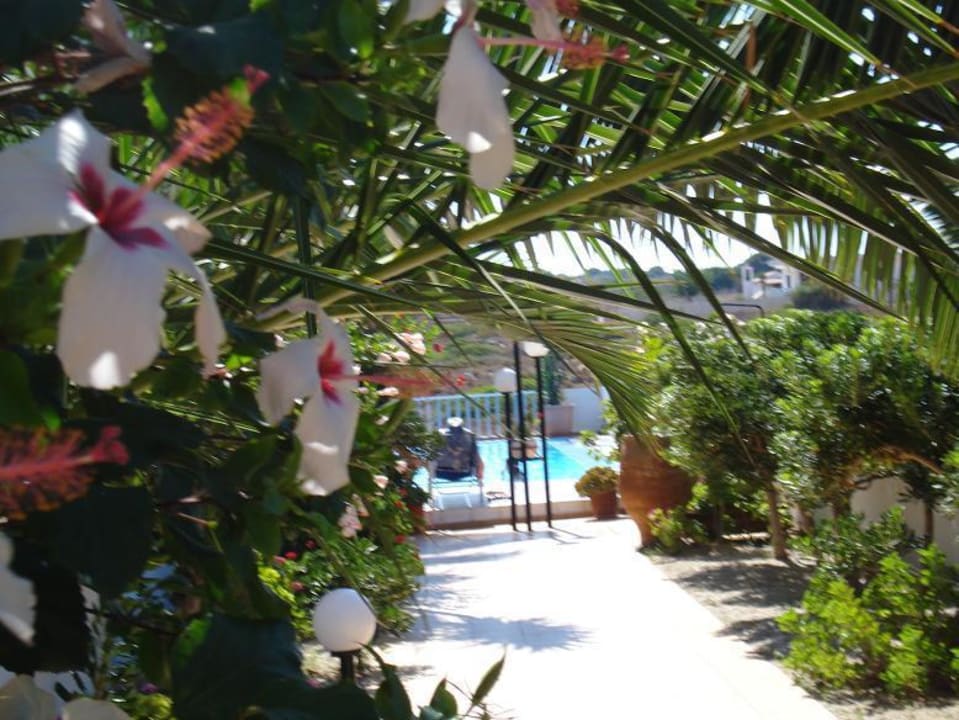 Ogród, dojście do basenu Apartaments Catherine