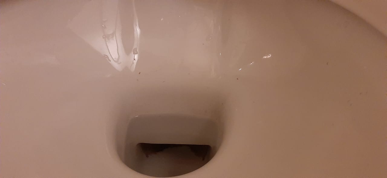 Zimmer Marvida Family Eco