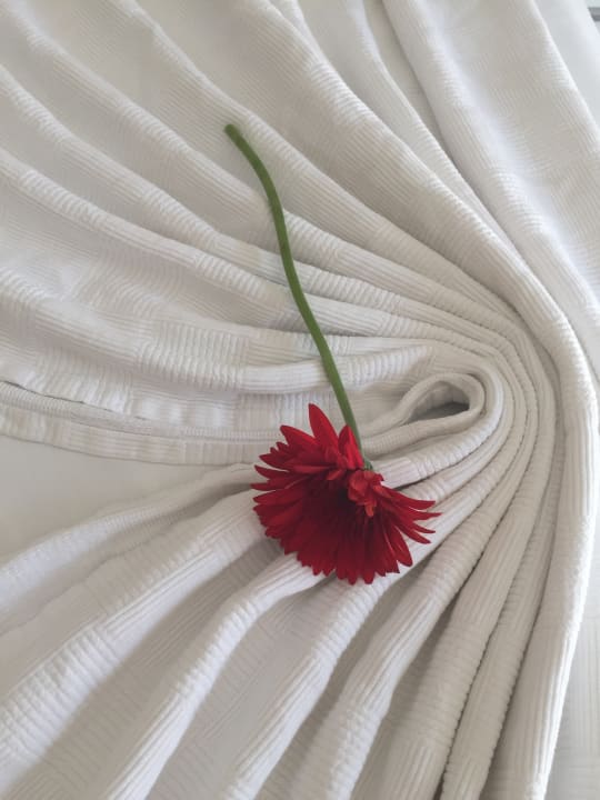 Zimmer AQI Pegasos World