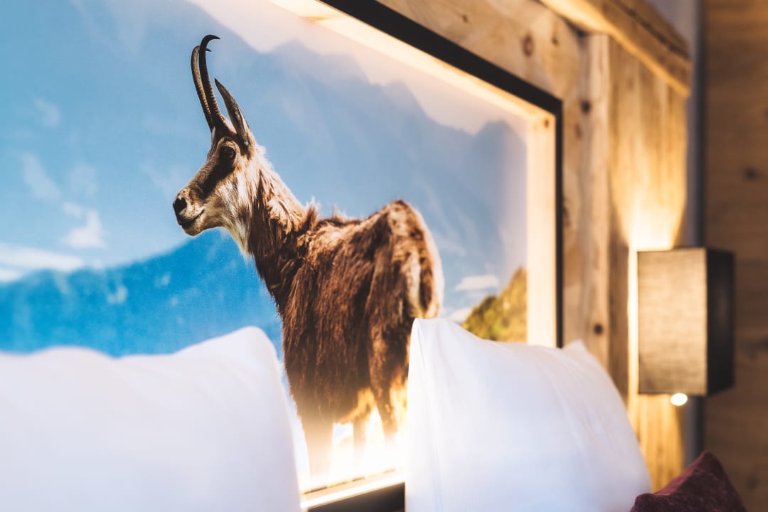 Zimmer Apart- Hotel Sonnhof Royal