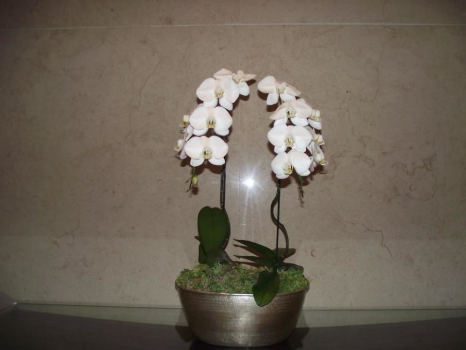 Überall Blumenarrangements Siam Kempinski Hotel Bangkok