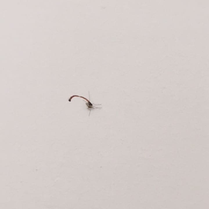 Zimmer Le Jardin Aqua Park Resort