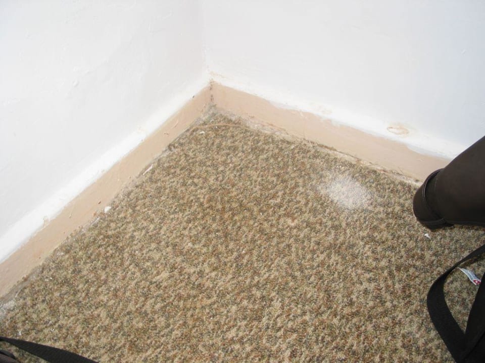 Zimmer 244 - Teppich Beach Albatros Resort