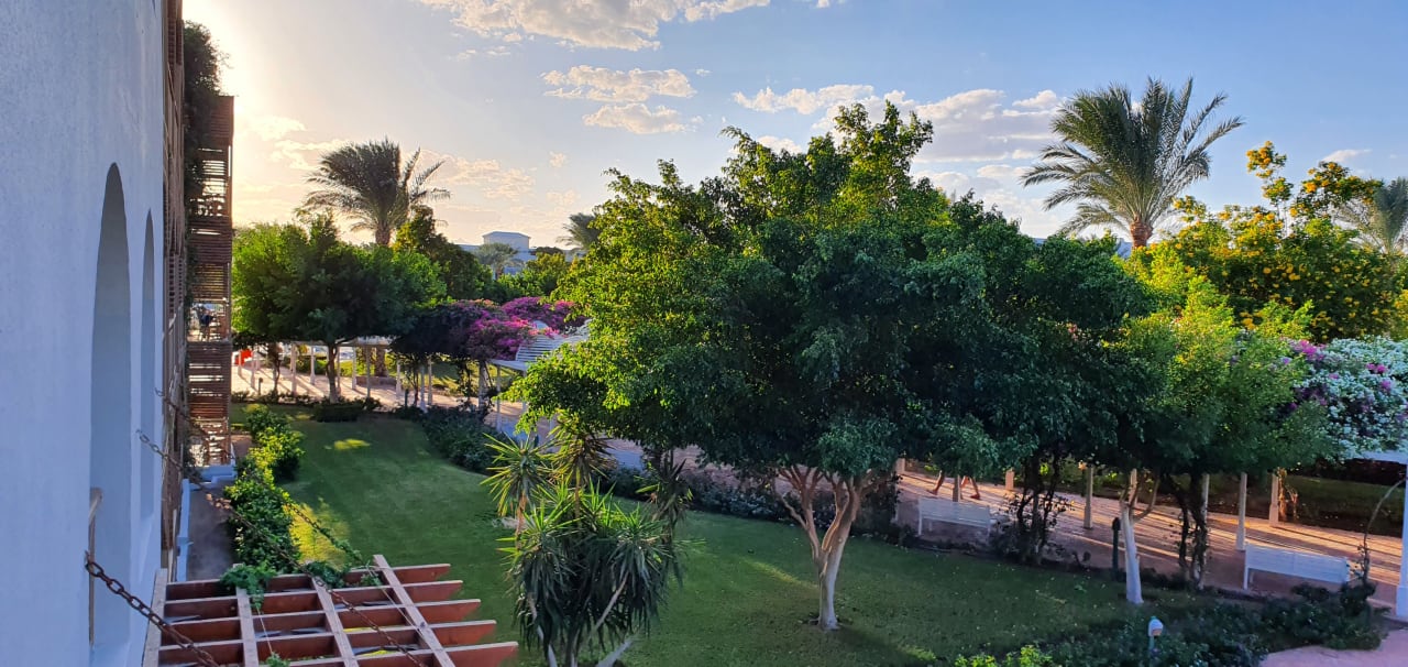 Ausblick Desert Rose