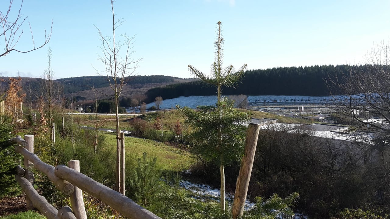Ausblick Terrasse links Center Parcs Park Bostalsee