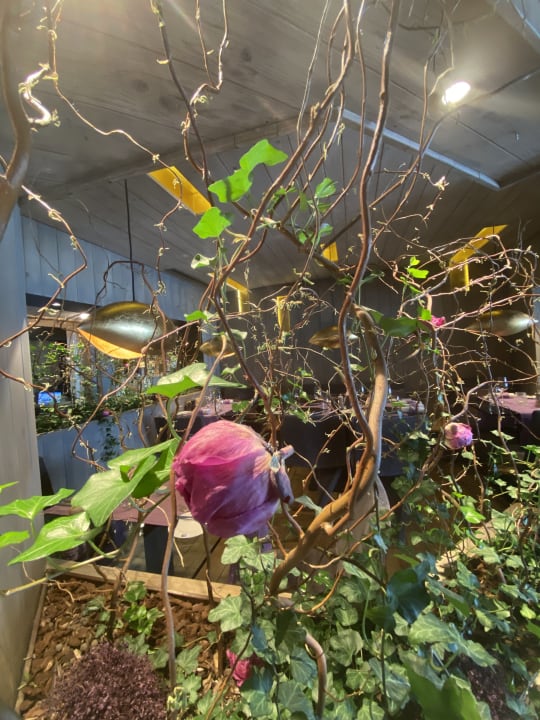 Sonstiges Ermitage Wellness- & Spa-Hotel