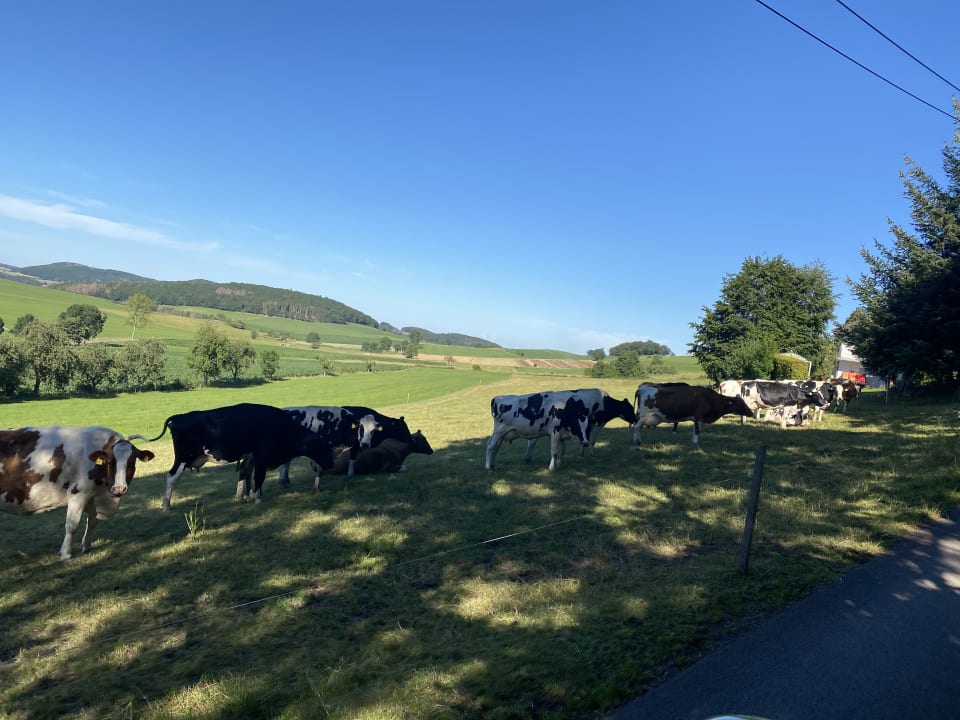 Ausblick Wiesenberghof