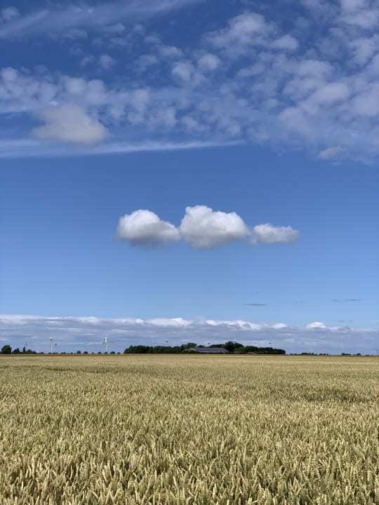 Außenansicht Avalon Hotel Bellevue