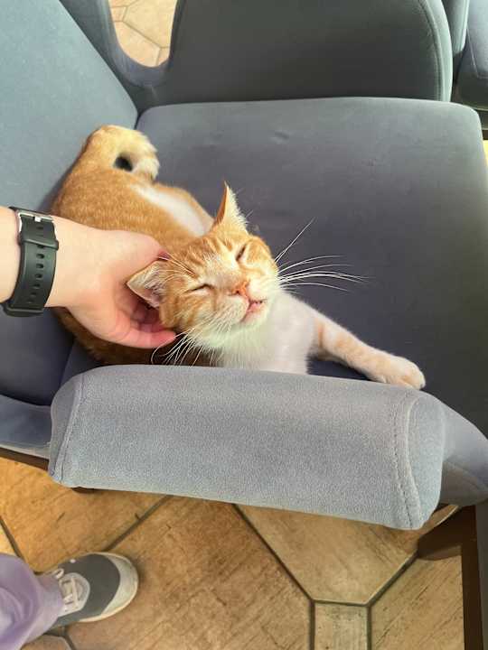 Lobby Limak Limra Hotel & Resort