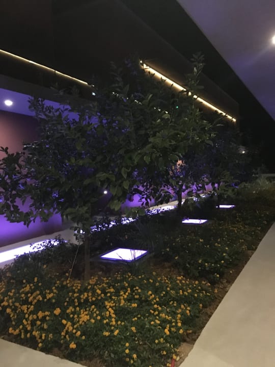 Gartenanlage Harmony Boutique Resort