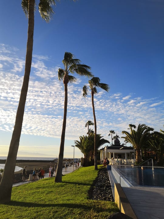 Außenansicht Hotel Riu Arecas - Adults only