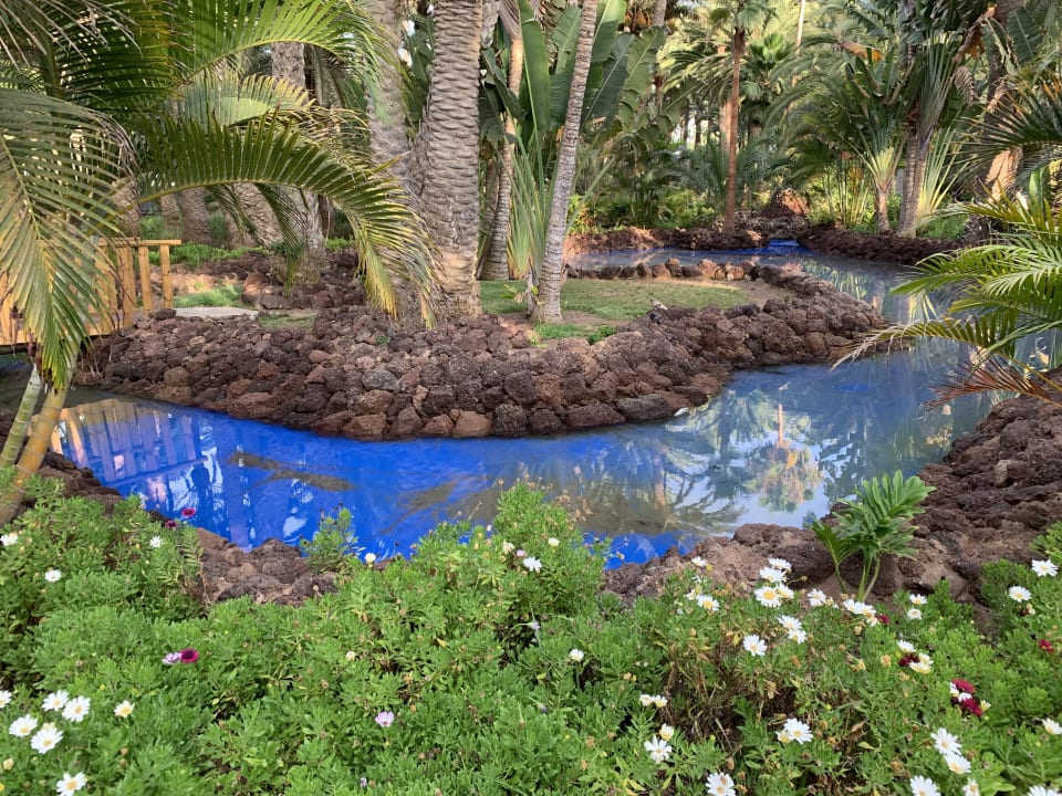 Gartenanlage Hotel Riu Palace Oasis