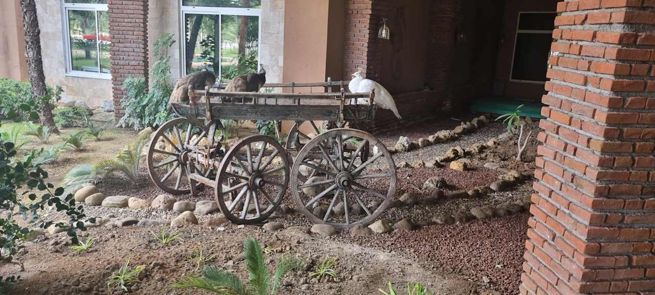 Gartenanlage Seaden Sea World Resort & Spa