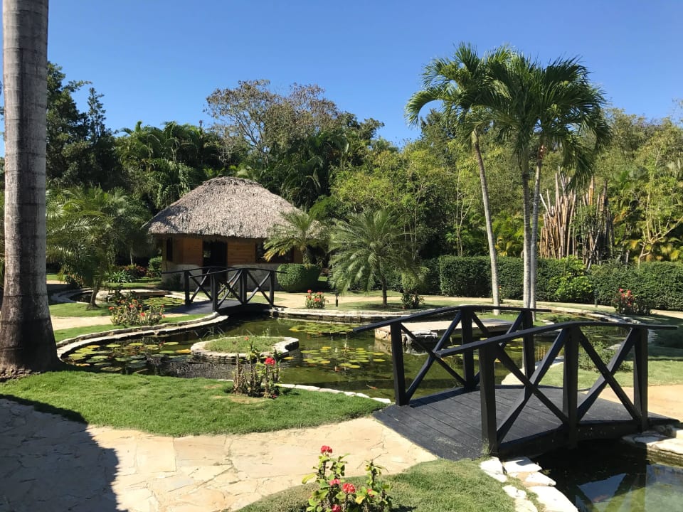 Der Spa-Bereich Dreams La Romana Resort & Spa