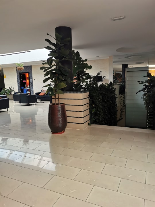 Lobby allsun App.-Hotel Albatros