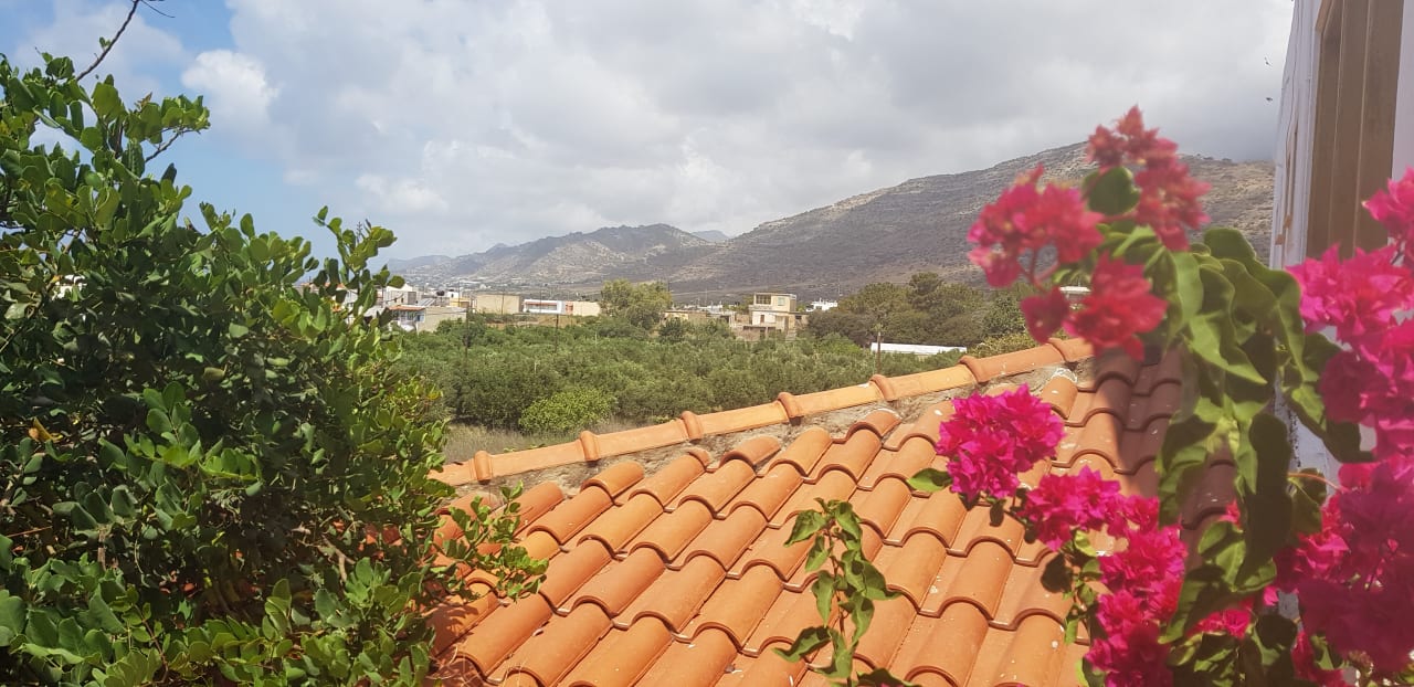 Ausblick Hotel South Coast