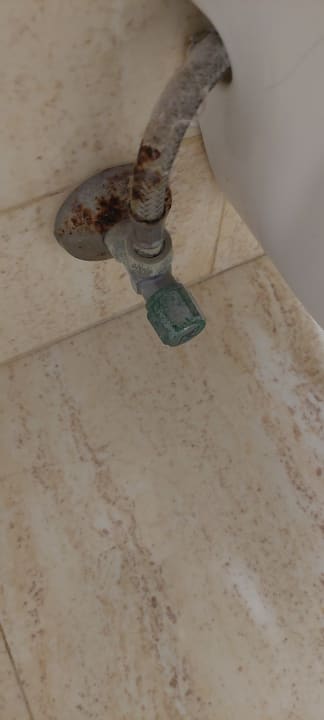 Zimmer Alexandre Hotel Gala