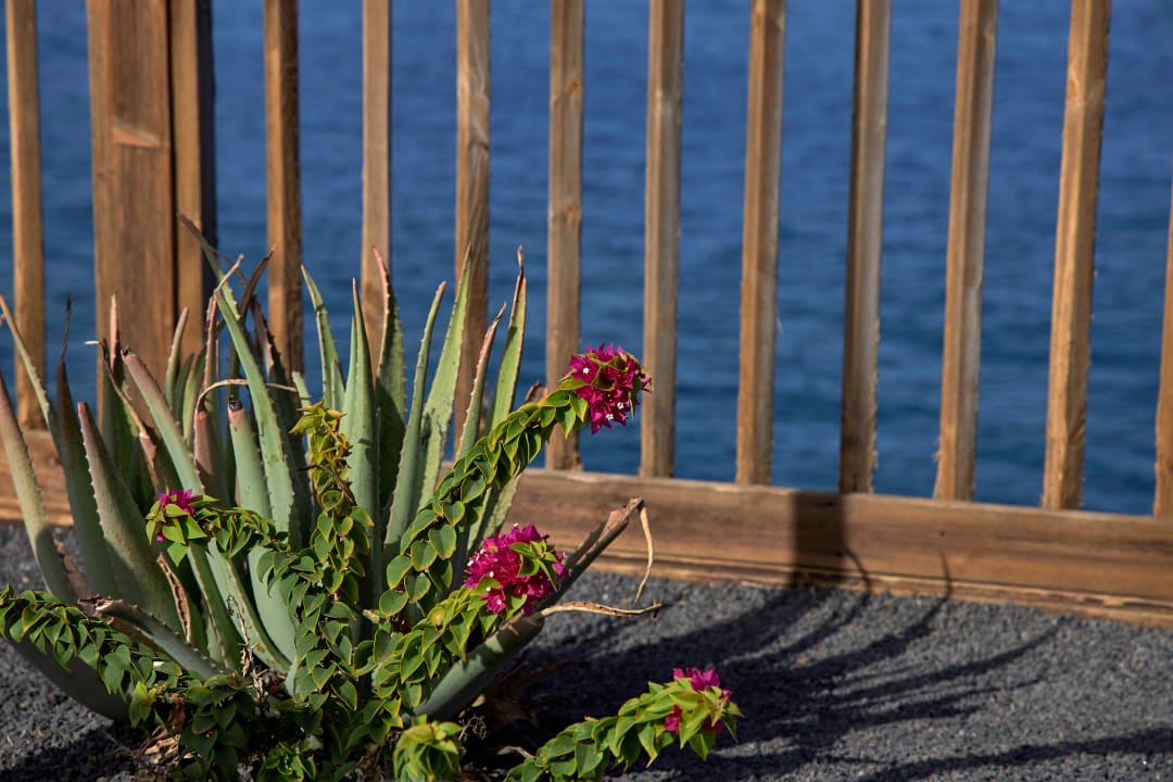 Sonstiges La Palma Princess