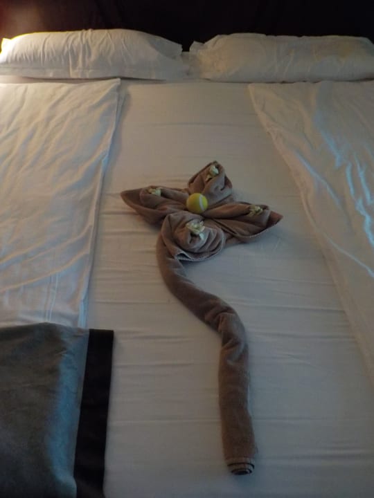 Zimmer GRIFID Aqua Club Bolero