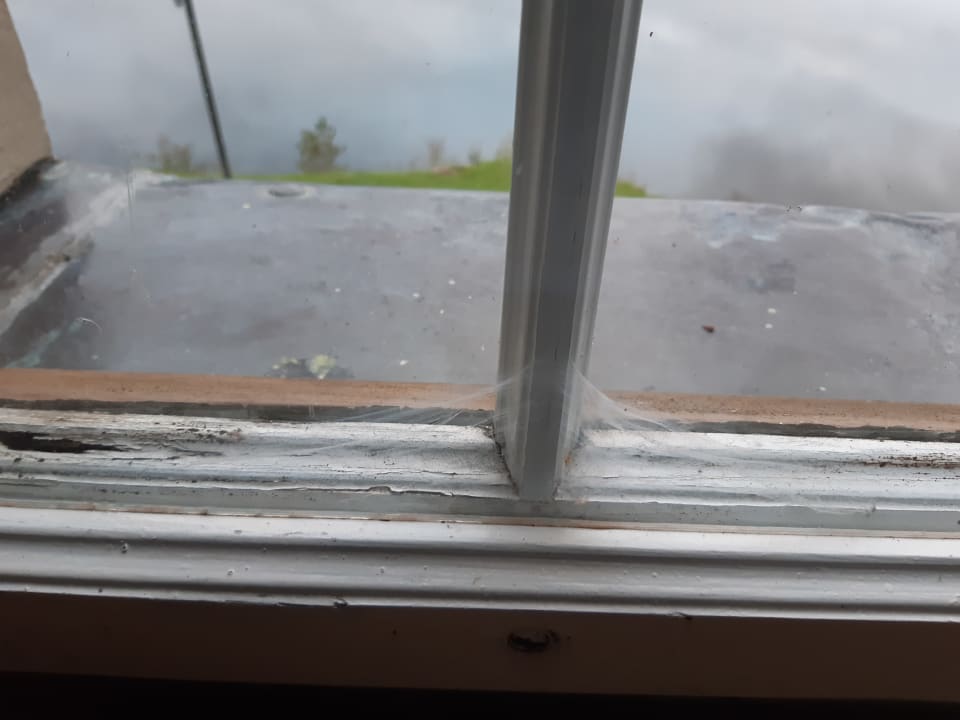 Zimmer Podewils Schlosshotel